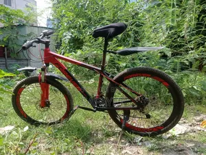 Forever Cycle 26"