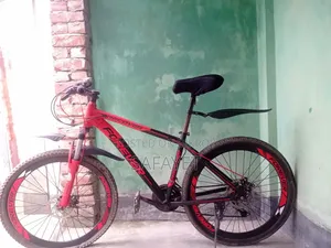 Forever Cycle 26"