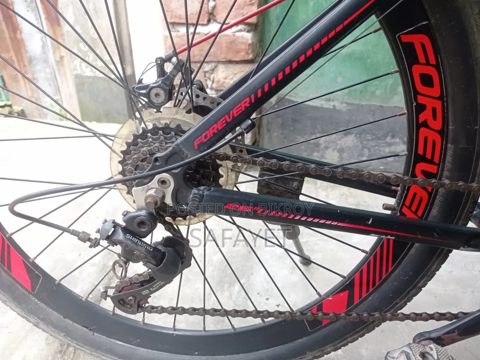 Forever Cycle 26"
