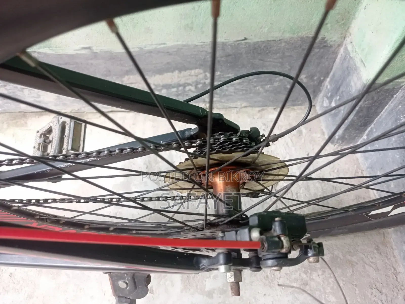 Forever Cycle 26"