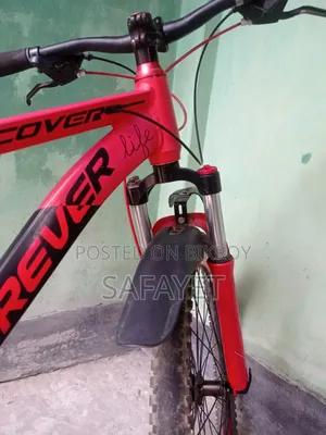 Forever Cycle 26"