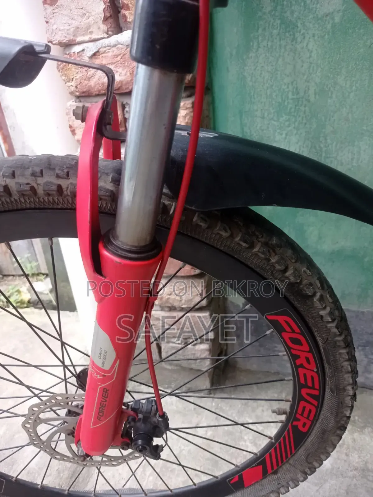 Forever Cycle 26"