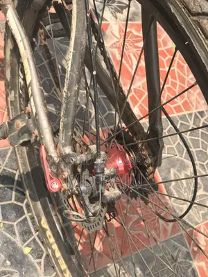 ফিনিক্স বাইসাইকেল
