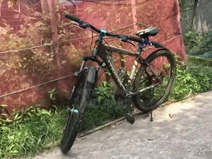 ফিনিক্স বাইসাইকেল