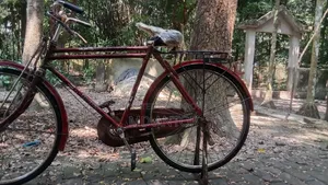 This bicycle will be sold