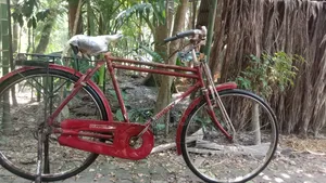 This bicycle will be sold