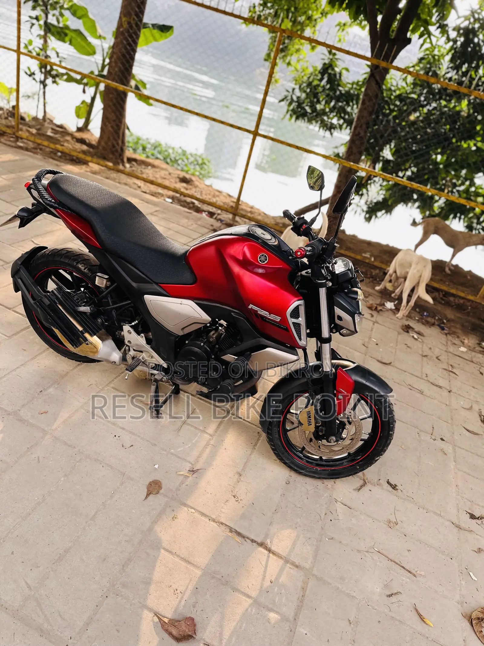 Yamaha FZS V3 2023 Red