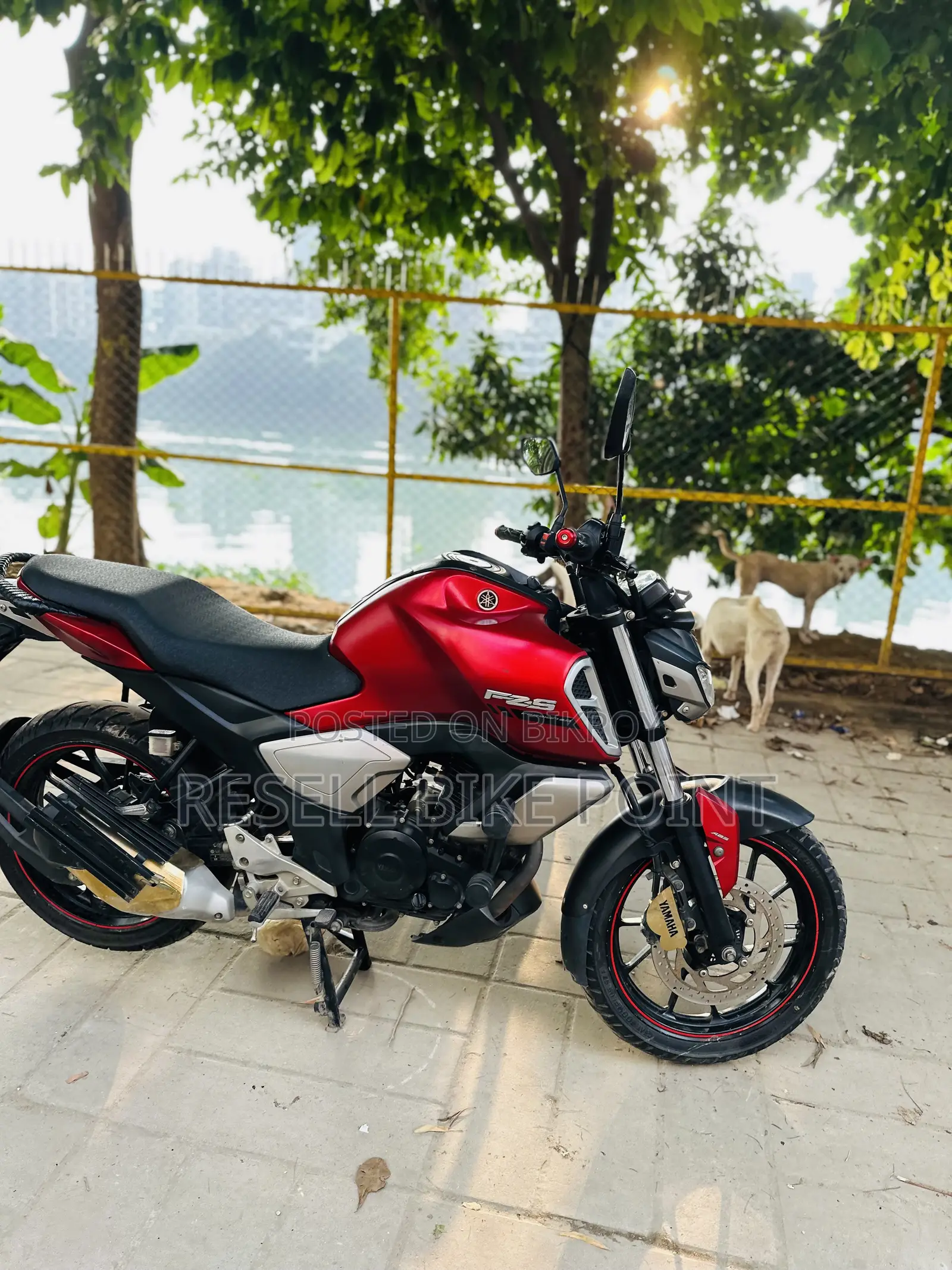 Yamaha FZS V3 2023 Red