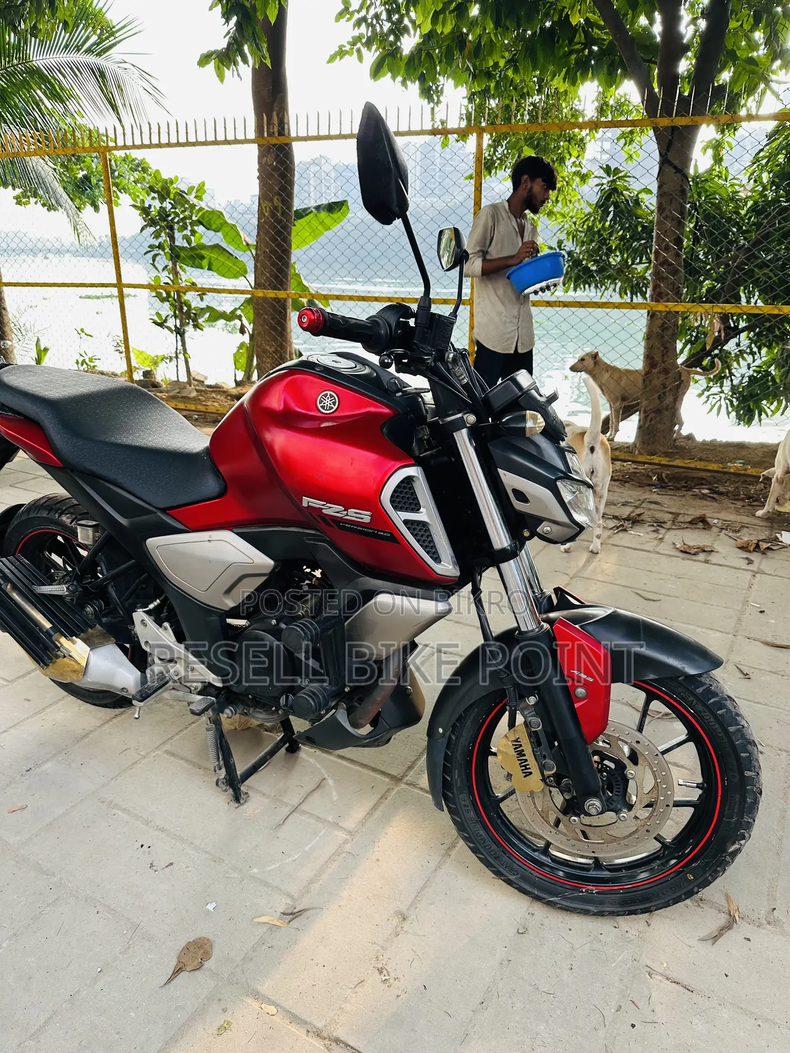 Yamaha FZS V3 2023 Red