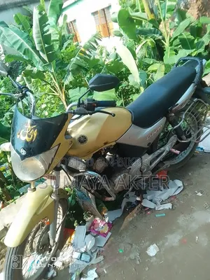 Yamaha 2007 Gold