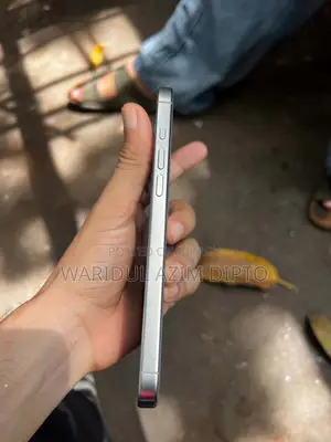 Apple iPhone 16 Pro Max 256 GB Silver