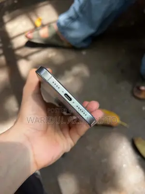 Apple iPhone 16 Pro Max 256 GB Silver