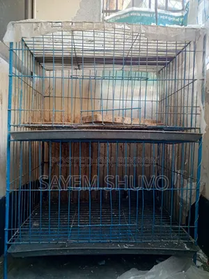 Bird Cage