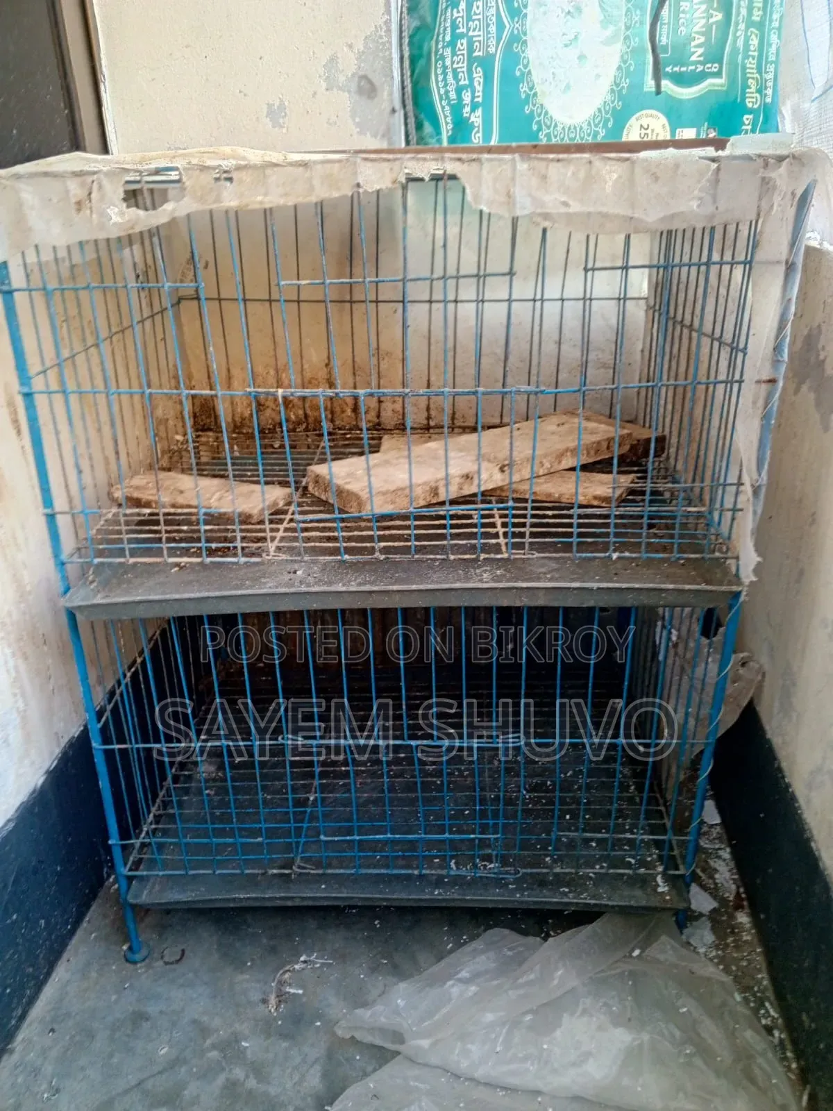 পাখির খাচা