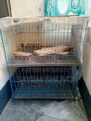 পাখির খাচা