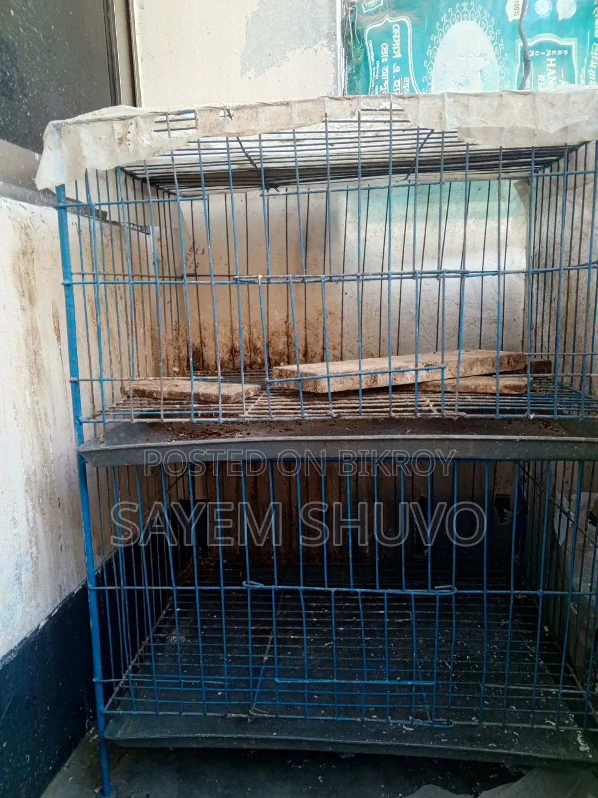 পাখির খাচা