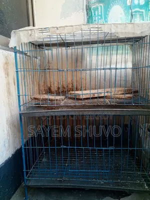পাখির খাচা