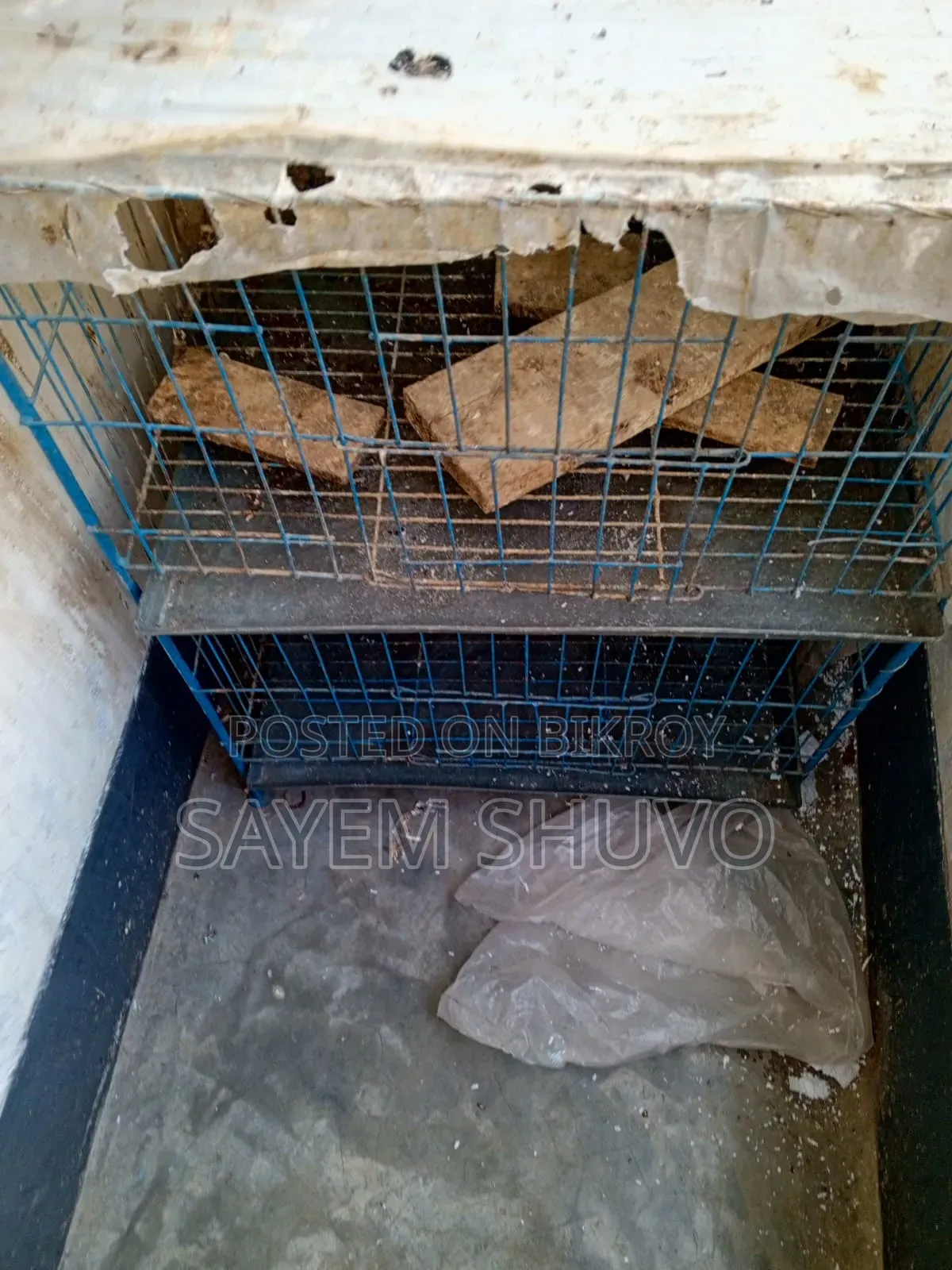 পাখির খাচা