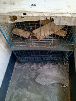 পাখির খাচা