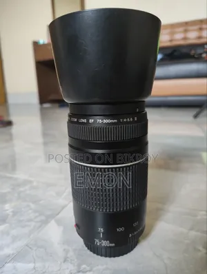ক্যানন ৭৫-৩০০ মিলিমিটার লেন্স