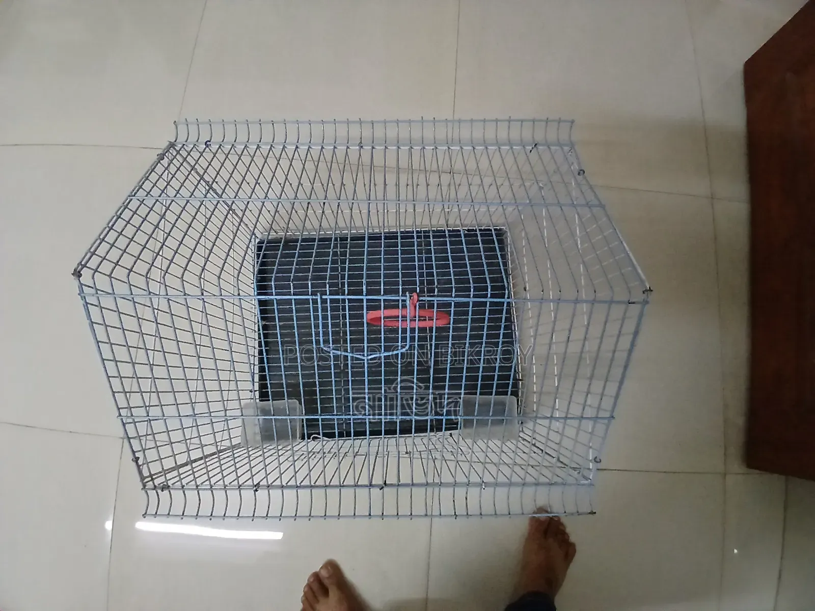 পাখির খাঁচা