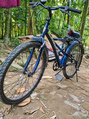 An exceptionally good blue cycle