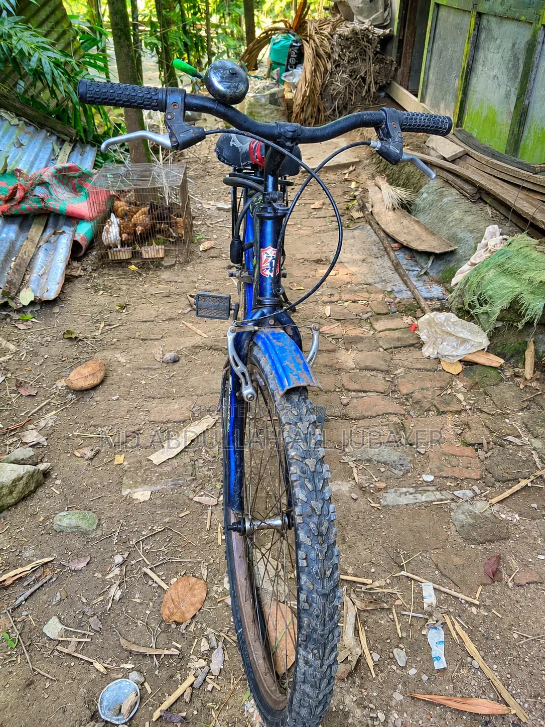 An exceptionally good blue cycle