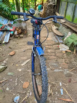 An exceptionally good blue cycle