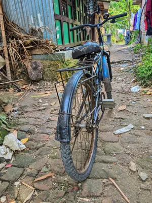 An exceptionally good blue cycle