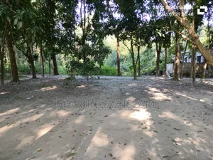 রাজশাহী কাটাখালি বাজার পার হয়ে পাক ইসলামপুর দ্রুত যোগাযোগ করুন