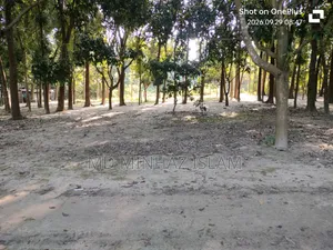 রাজশাহী কাটাখালি বাজার পার হয়ে পাক ইসলামপুর দ্রুত যোগাযোগ করুন
