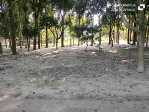 রাজশাহী কাটাখালি বাজার পার হয়ে পাক ইসলামপুর দ্রুত যোগাযোগ করুন