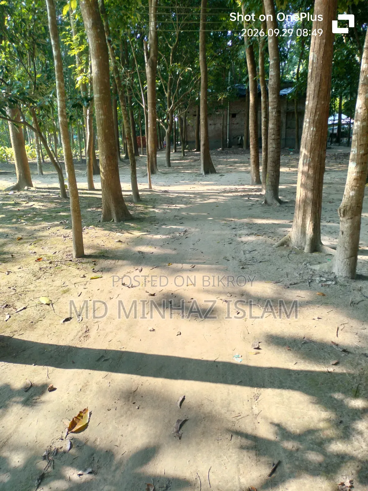 রাজশাহী কাটাখালি বাজার পার হয়ে পাক ইসলামপুর দ্রুত যোগাযোগ করুন