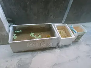 For tub, fish or plants.