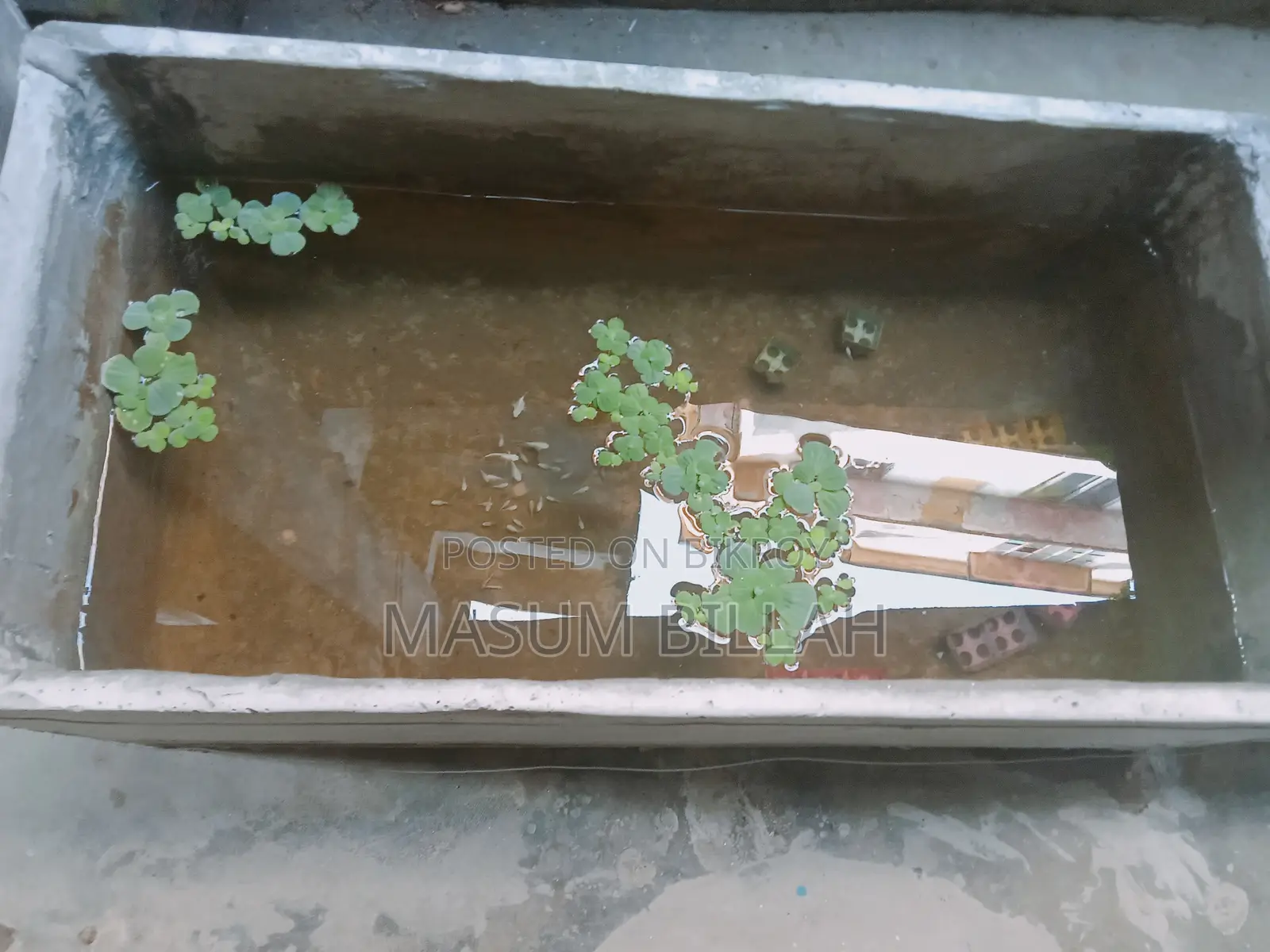 For tub, fish or plants.