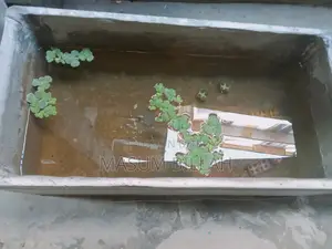 For tub, fish or plants.