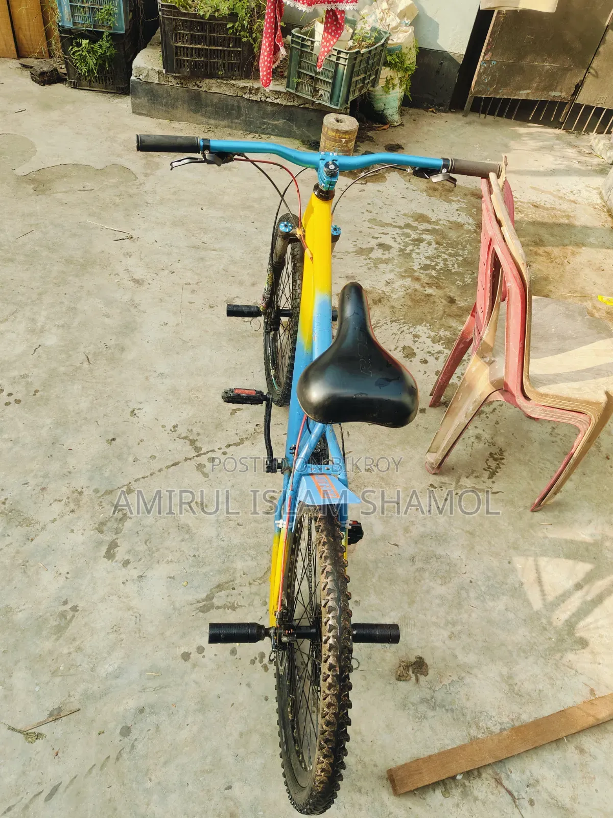 24" Customised Gear Cycle