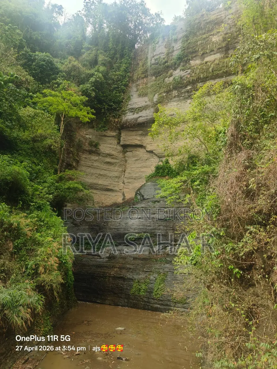 ফুডপান্ডা কোম্পানিতে চাকরি
