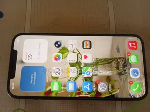 Apple iPhone 12 Pro Max 256 GB Blue