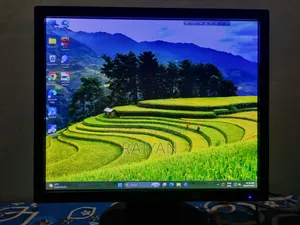 NEC 19" Monitor