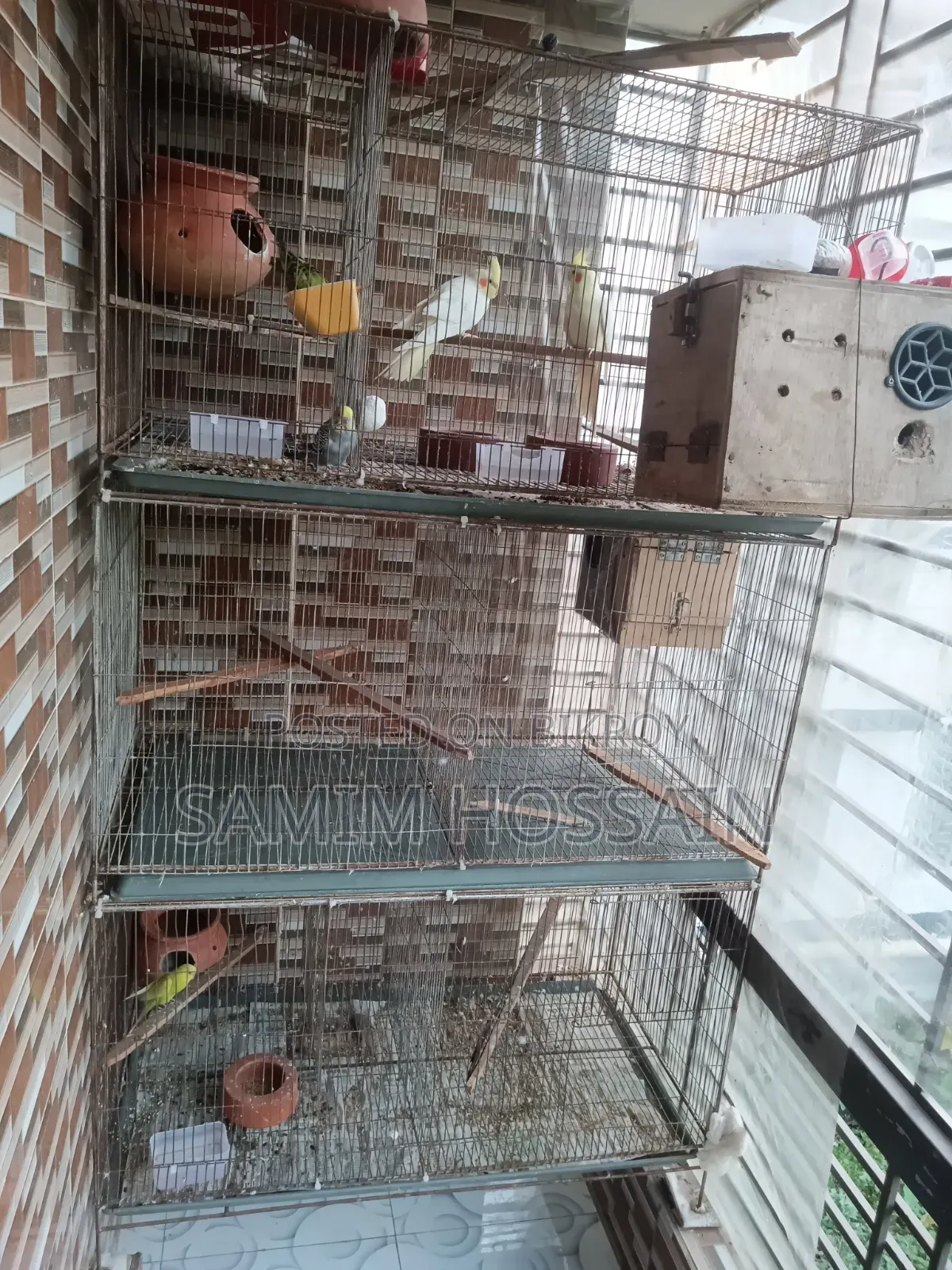 ১৮/৩৬ পাখির খাঁচা তিনটি