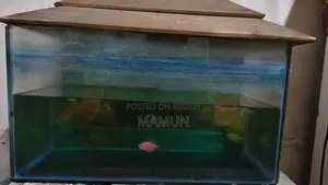 Aquarium for Fish