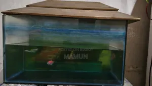 Aquarium for Fish