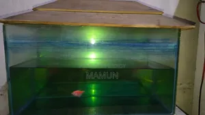 Aquarium for Fish