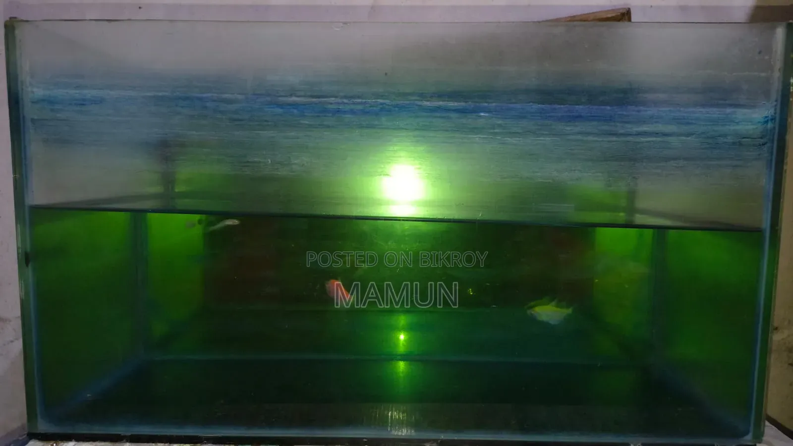 Aquarium for Fish