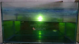 Aquarium for Fish