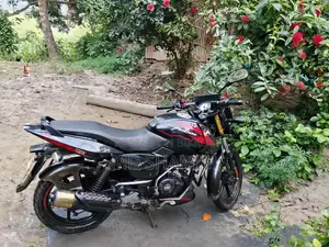 Bajaj Pulsar 150 2022 Black