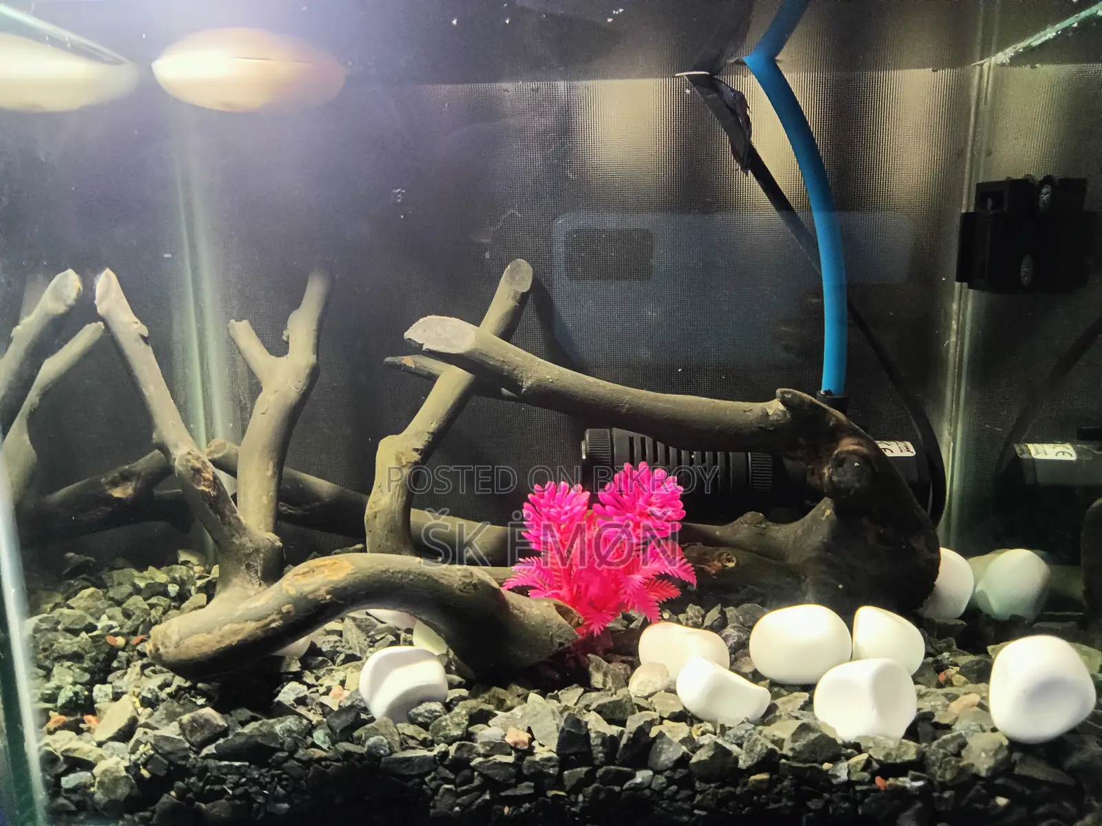 Aquarium Sell Post