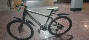 ফনিক্স বাইসাইকেল।