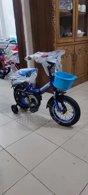 Ayan Cycle Astor